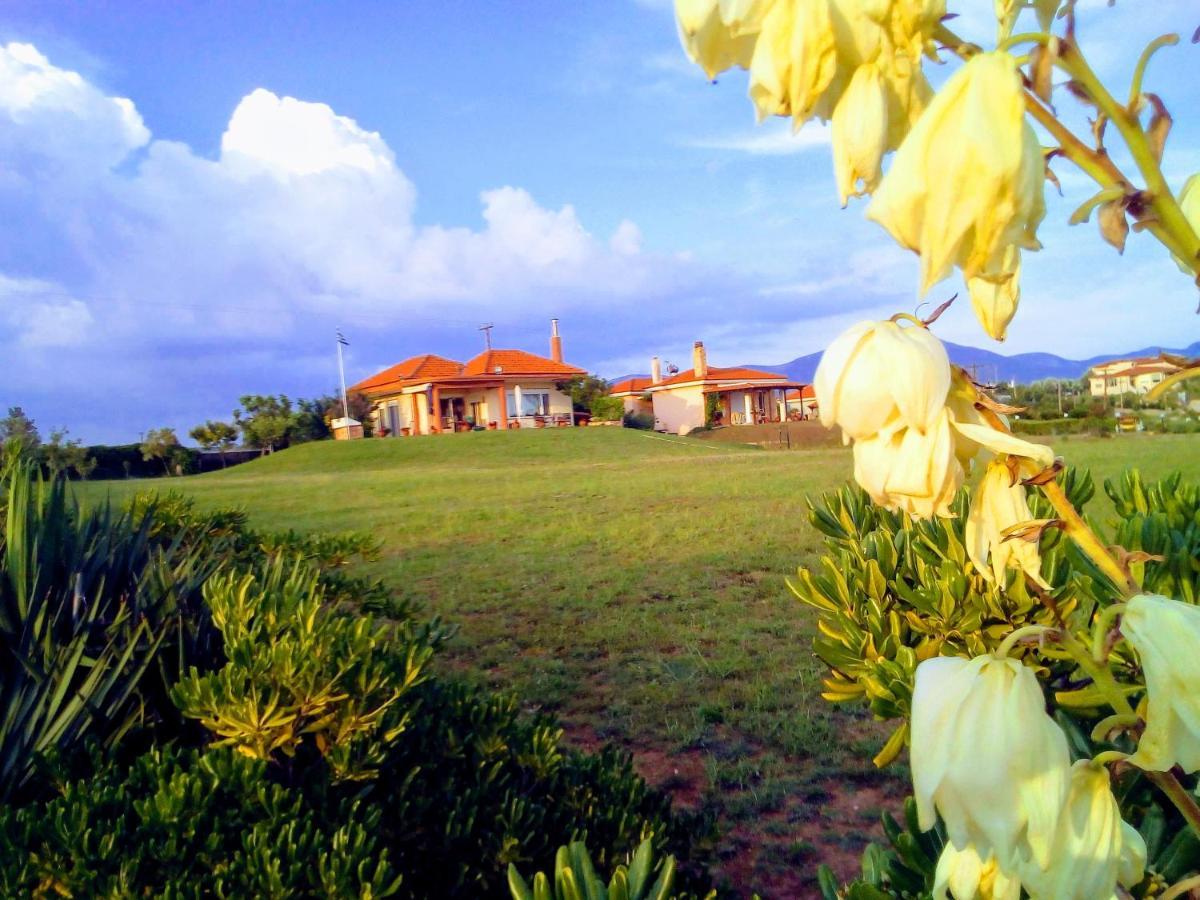 Maronia Villa Exteriér fotografie